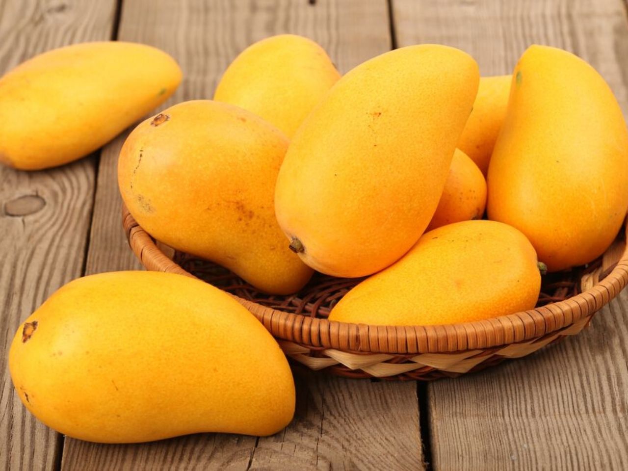 Mangoes Importer & Exporter