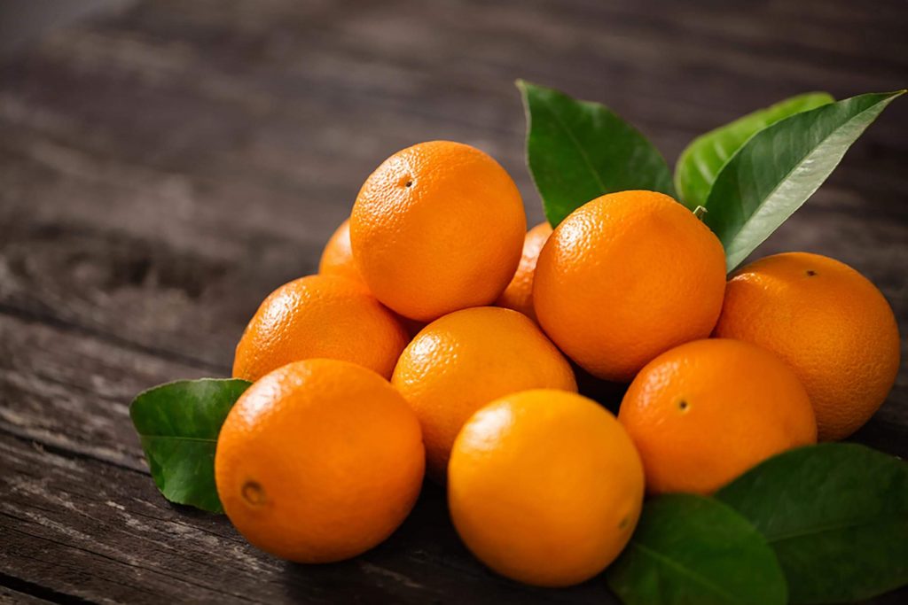 Oranges Importer & Exporter