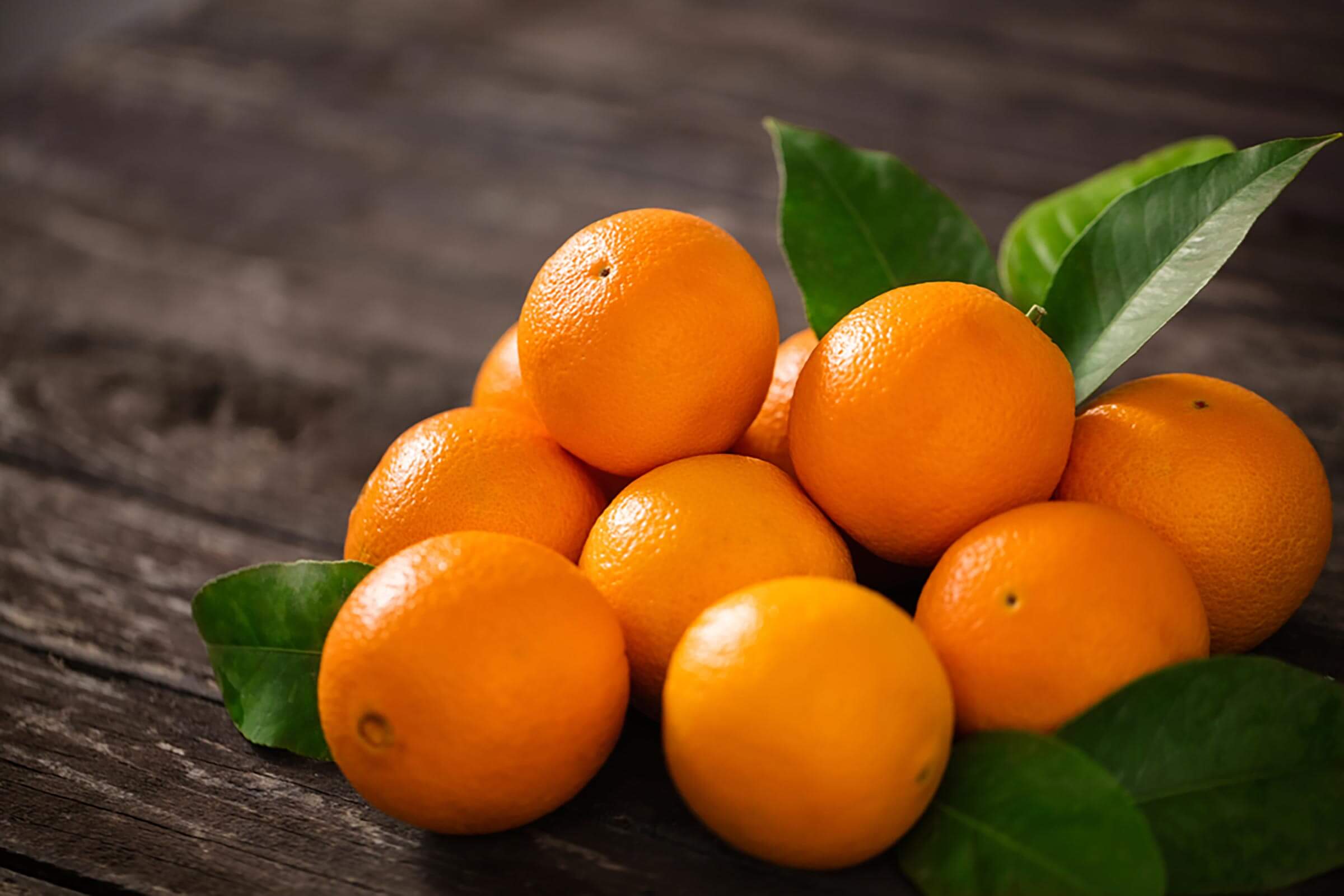 Oranges Importer & Exporter